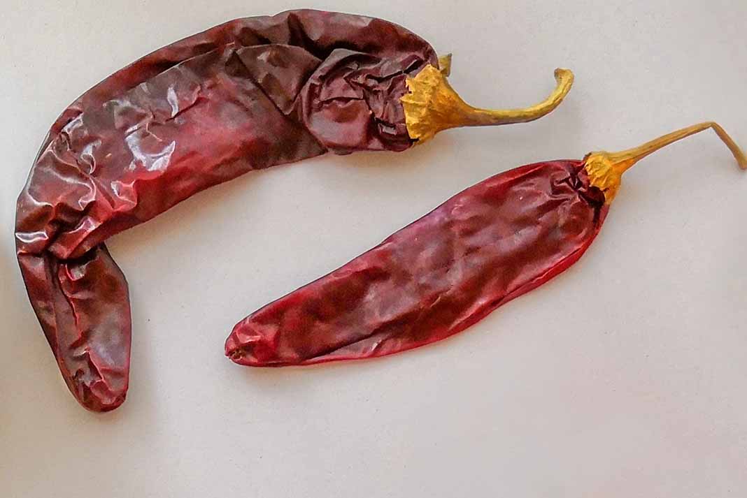 Pollito pibil marinado con achiote y chile guajillo Chefs Jaime y Ramiro